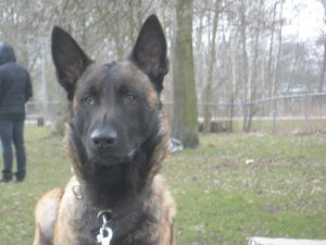 299188 287737741359207 1875666134 n