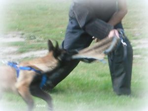 304574 182347501898232 1775094146 n-001