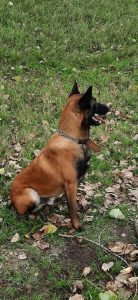 305105310 1176818166205908 210658335701048597 n