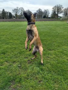 30697622 1234737863322780 1523342702807089152 n