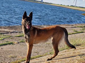 307170935 5441554075951626 1216584282229373402 n