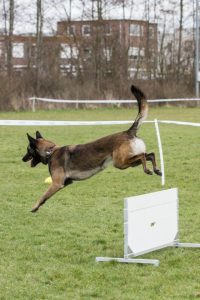 310051 371098466334629 274994051 n