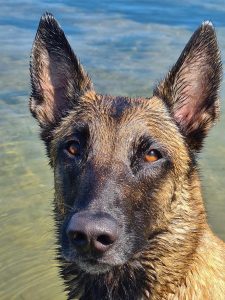 310647829 2242413499296043 4489197762793515767 n