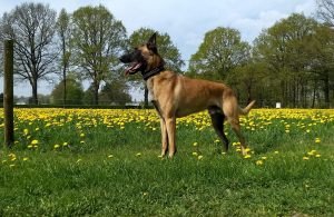 31162331 1239944852802081 7041177773133529088 o