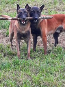 313925158 1212365355984522 4571654037429091643 n