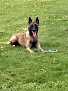 31433677 1244169992379567 2361998688701644800 n