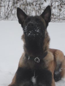 320969 248958261903822 1438260310 n