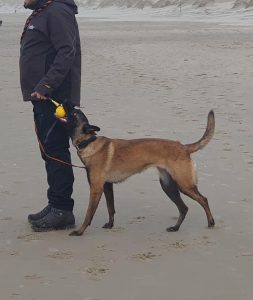 323411091 1333653720702086 7494189522097949268 n