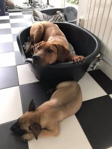 34070236 125517304992863 7393952428183257088 n