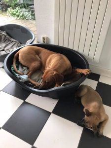 34075956 125517298326197 9158314715523317760 n