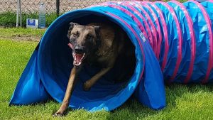 34133092 480202889080616 1254986166831153152 n