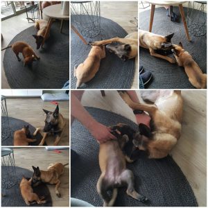 34142099 10216017686099511 1070546896612753408 n