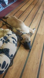 34162962 2091226177868052 4722888773329747968 n