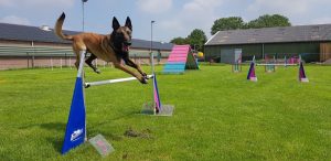 34268670 480134849087420 6192880251379384320 o