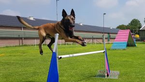 34276517 480202932413945 4711679428378230784 n