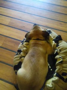 34309121 2091226221201381 3492757187103555584 n