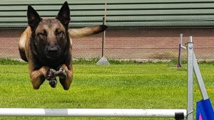 34365447 480202859080619 12416960906133504 n