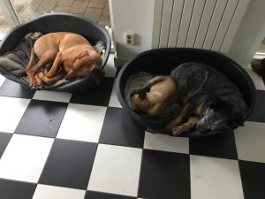 34380056 125841464960447 4244780431347548160 n