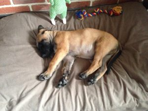 34416327 663820847297575 54595884804997120 n