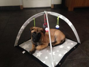 34559165 663820870630906 4258640514150039552 n