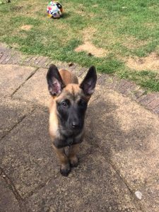 35143009 130909577786969 6261422874247036928 n