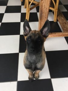 35200377 130909564453637 7923624274915491840 n