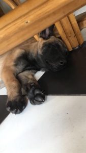 35284197 131138924430701 7634461749126627328 n