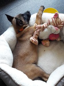 35285169 1362785257199341 6996323973667487744 n