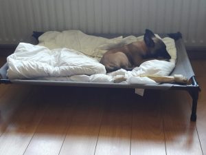 35299193 1362784737199393 5222181989959860224 o