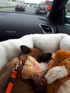 35328479 1362778703866663 6333989009592680448 n