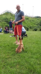 35487914 1362797373864796 5863591383742283776 n