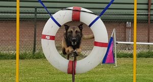 36064314 494487484318823 4817572804838817792 n