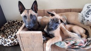 36087761 475093672921961 3512866477386498048 o