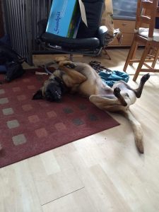 36137430 1281213698675196 1663081765884919808 n