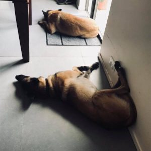 36188732 2177718175783484 6597956582913343488 n