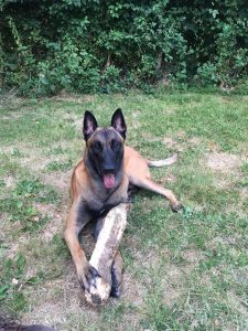 37269397 1789360484492103 2906133318112116736 n