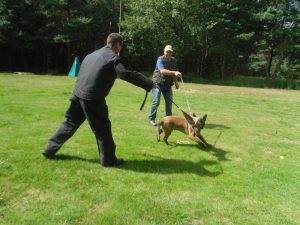 376265 182342645232051 915369759 n-001