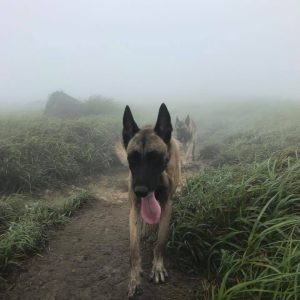 37792890 2210883429133625 2434889265876828160 n