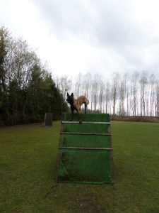 378744 296891667110481 436152659 n