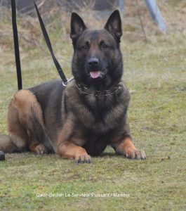 379201 112931585552453 2106748510 n qadir