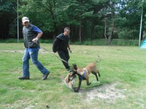 392256 182342535232062 560693082 n-001