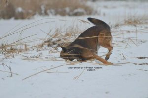 397412 102797163232562 1887691675 n Qadir