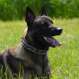 398131 112967652215513 227238028 n