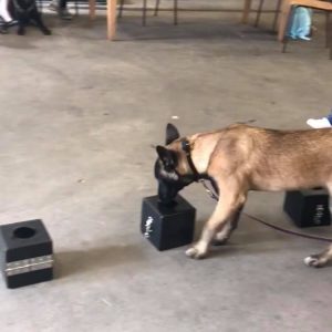 41462167 267559040532915 394684765535469568 n