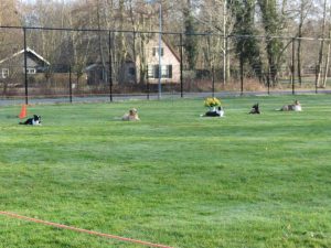 425938 192407234203754 415981004 n