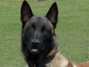 427782 296892210443760 873596168 n