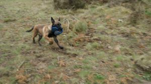 431921 513848375329126 219774585 n - kopie