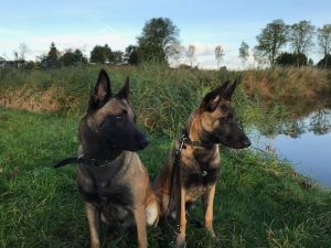 43253600 555659964865331 1089900354255978496 n 1