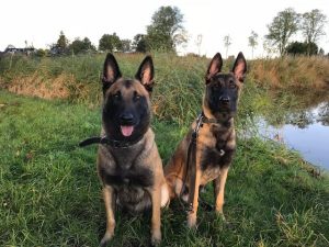 43475077 555659971531997 8440688790611165184 n