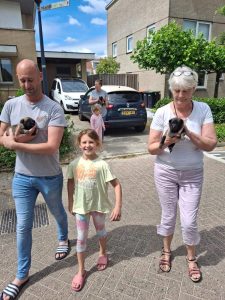 449356490 8448615055168564 2701590093225171840 n